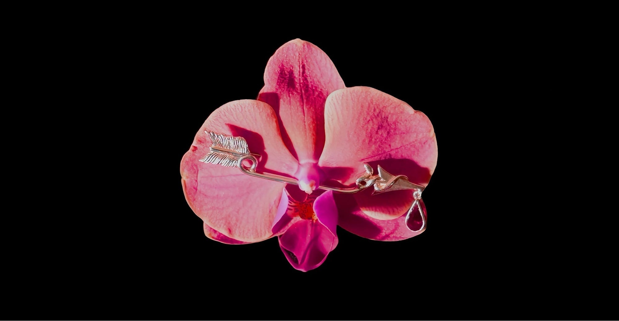Forbidden Fruit unveiled in Amsterdam